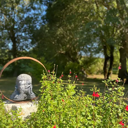 Whaou 5*, Piscine Chauffee, Jacuzzi *